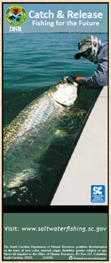 Catch and Release Brochure