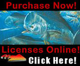 Purchase Licenses Online