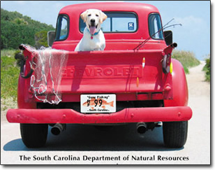 Dog riding in the back of an old Chevy pickup truck with a "Gone Fishing" license plate