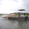 Oyster Shell Planting