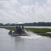 Oyster Shell Planting