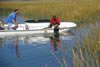 Preserving Spartina March Nursery Habitat is essential for Red Drum