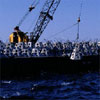 Artificial reef cone deployment 