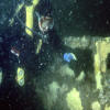 Reef Inspection